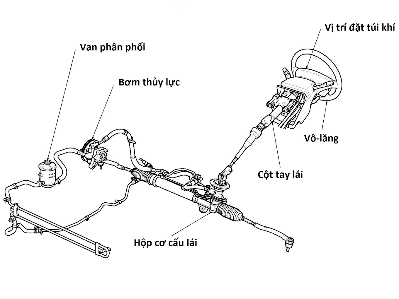 Hệ thống lái là một trong những hệ thống đóng vai trò quan trọng trong cấu tạo ô tô